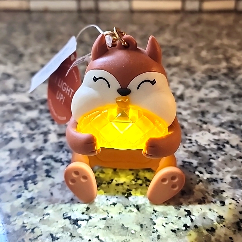 BBW light up squirrel & acorn pocketbac holder